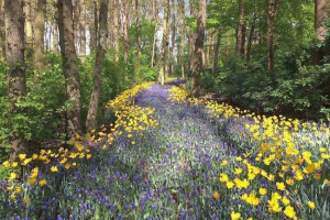 Świat warzywny lub ziemia flora